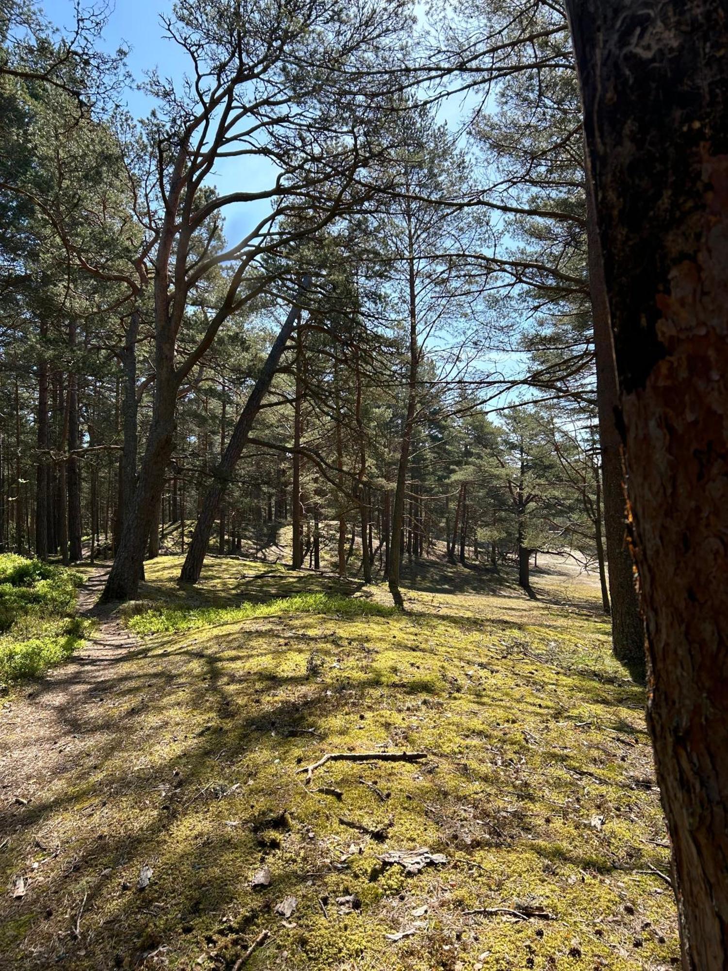 Apartment Near The Seaside Jurmala Luaran gambar